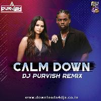 Calm Down (Club Mix) - DJ Purvish
